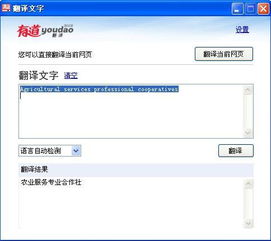 請(qǐng)問英語的農(nóng)業(yè)服務(wù)專業(yè)合作社怎么翻譯