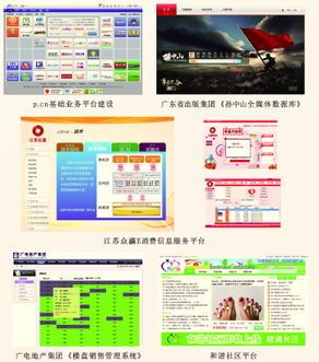 企業(yè)信息管理軟件定制與信息系統(tǒng)運行維護服務 構(gòu)建智慧化企業(yè)運營的雙重支撐